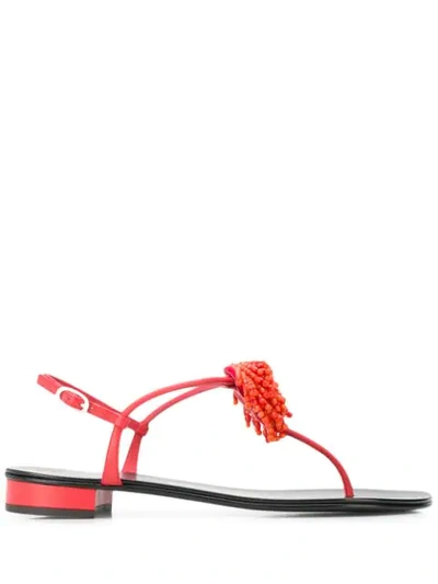 Giuseppe Zanotti Flat Flower Sandals In Red