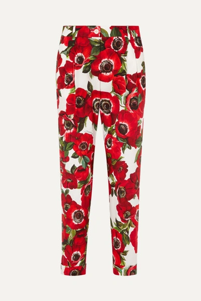 Dolce & Gabbana Floral-print Cotton Tapered Pants In Cream