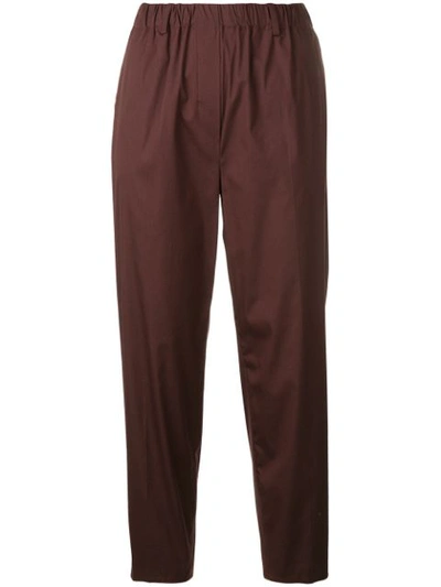 Antonelli Cropped Trousers In Brown