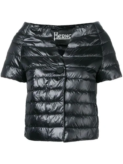 Herno Shortsleeved Puffer Jacket In Black
