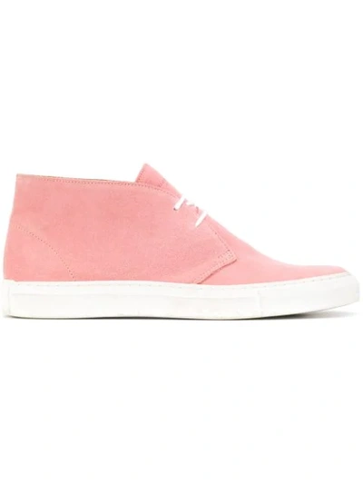 Holland & Holland Chukka Boots In Pink