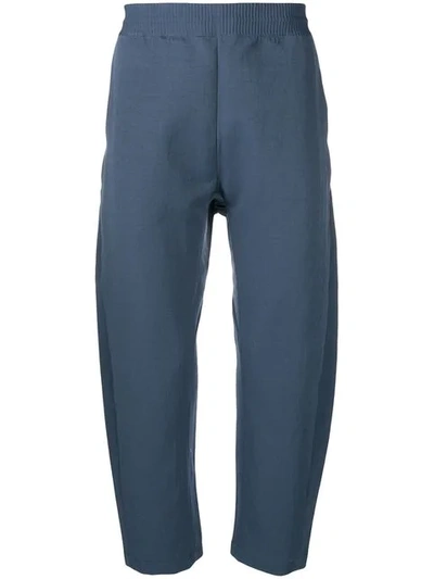 Nike Cropped Track Pants In Blue