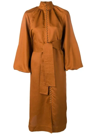 Zimmermann Puff Sleeve Dress In Brown