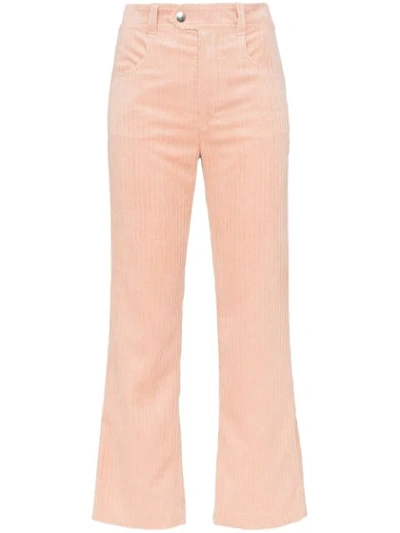 Isabel Marant Cropped Flare-leg Corduroy Pants In Pink