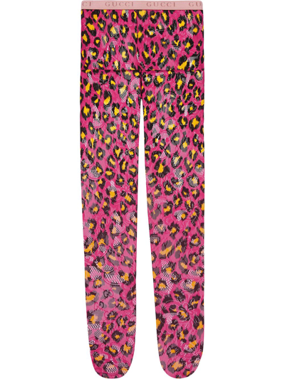 Gucci Leopard-print Stretch-lace Tights In Pink