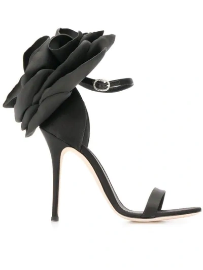Giuseppe Zanotti Petal Embellished Flat Sandals In Black