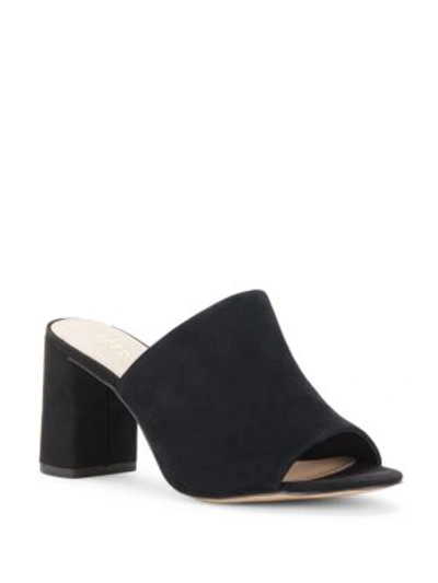 Bcbgeneration Beverly Suede Mules In Black