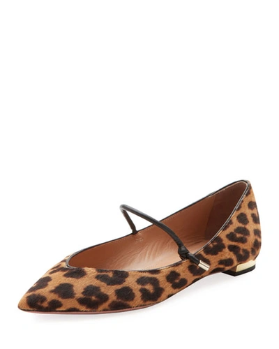 Aquazzura Stylist Leopard-print Ballet Flats