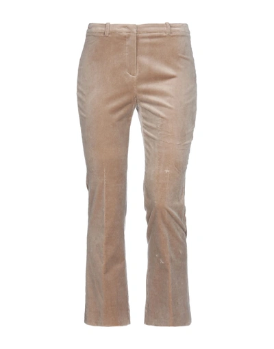 Argonne Casual Pants In Light Brown