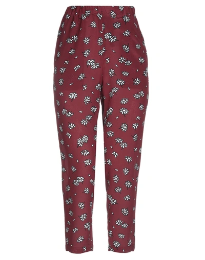 Marni Pants In Maroon