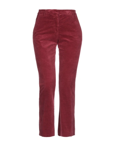 True Royal Casual Pants In Red