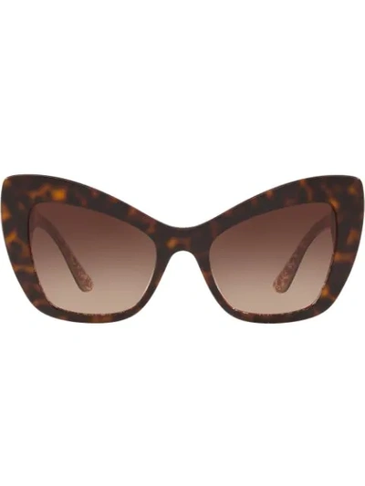 Dolce & Gabbana Cat Eye Ladies Sunglasses Dg43645021354 In Brown