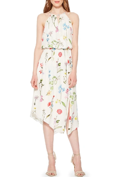 Parker Herley Asymmetric Floral-print Silk Dress In Gigi