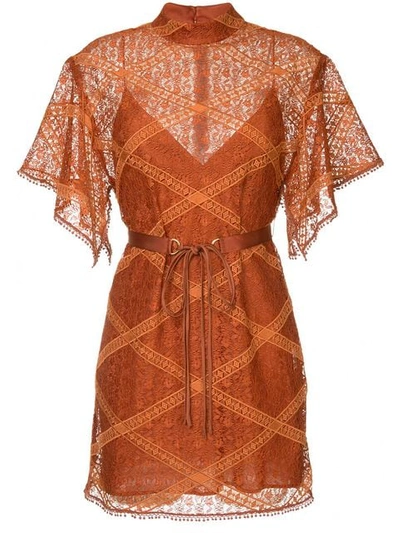 Manning Cartell Lace Layer Dress In Brown