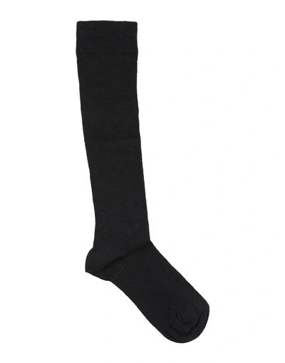 Dolce & Gabbana Socks & Tights In Black