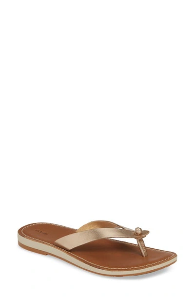 Olukai Nohie Flip Flop In Bubbly/ Tan Leather