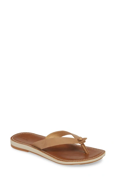 Olukai Nohie Flip Flop In Sting/ Tan Leather