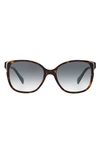 Prada Square Gradient Arrow-edge Sunglasses, Black In Havana/ Gradient