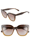 Kate Spade Kiyannas Square Acetate Sunglasses In Dark Havana