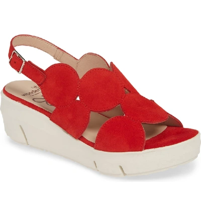 Wonders Platform Sandal In Ante Rojo Suede