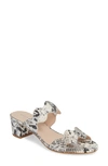 Patricia Green Palm Beach Slide Sandal In Black/ White Print Leather