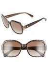 Kate Spade Amberlynn 57mm Sunglasses In Brown/ Gold
