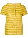 Herno Short-sleeved Padded Jacket In Yellow