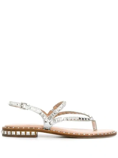 Ash Peps Studded Sandals In Silver