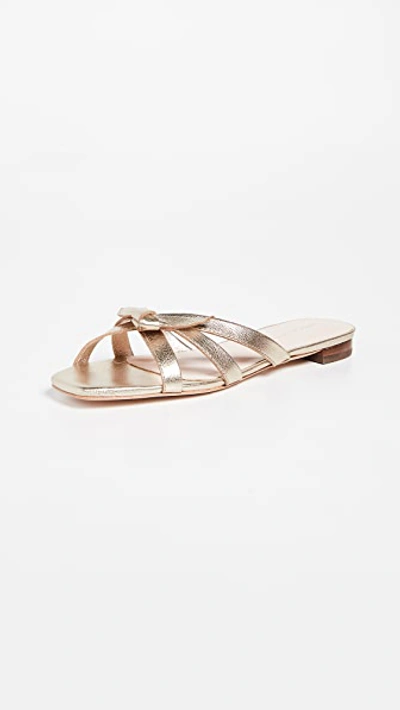 Loeffler Randall Eveline Knotted Metallic Leather Flat Sandals In Champagne