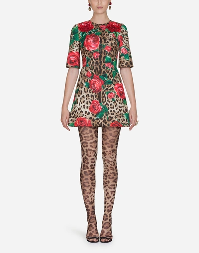 Dolce & Gabbana Dress In Printed Brocade In Leopard Print