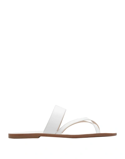 Deimille Toe Strap Sandals In White