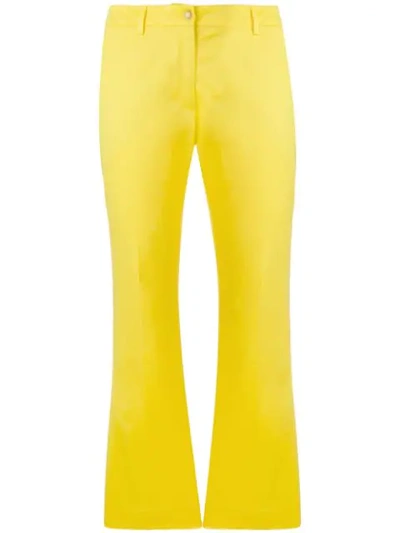 Pt01 Cropped Bootcut Trousers In Yellow