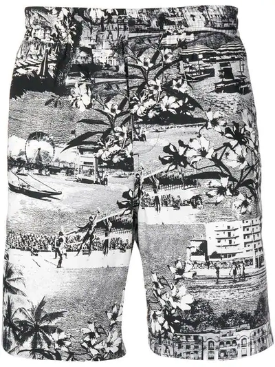 Msgm Tropical Printed Shorts In Black