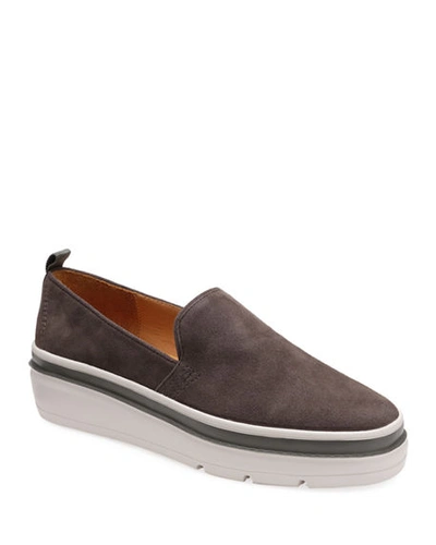 Bill Blass Sutton Suede Chunky Sneakers In Cement