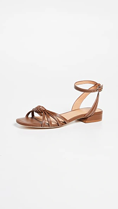 Joie Women's Parsin Ankle-strap Leather Sandals In Tan