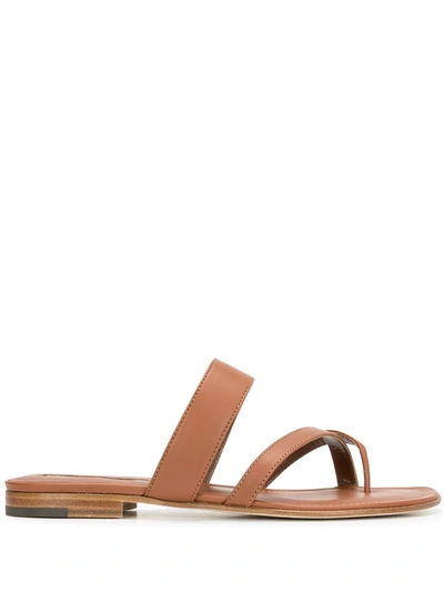 Manolo Blahnik Susa Crisscross Metallic Leather Flat Sandals In Brown