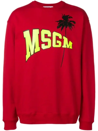 Msgm Sweatshirt With Fluo Logo And Palm In Red