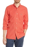 Lacoste Regular Fit Gingham Sport Shirt In Salvia/ Dianthus