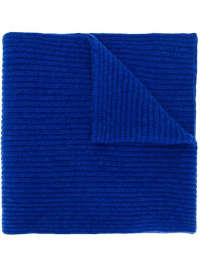 N•peal Short Ribbed Scarf In Blue