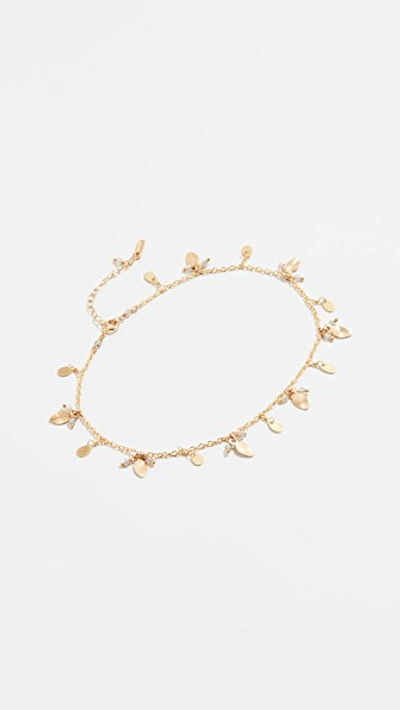 Chan Luu Shell Anklet In Yellow Gold