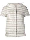 Herno Shortsleeved Padded Jacket In Grey