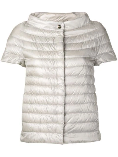 Herno Shortsleeved Padded Jacket In Grey