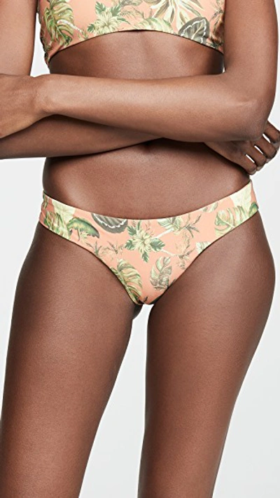 Boys + Arrows Clairee Bikini Bottoms In Flamingo
