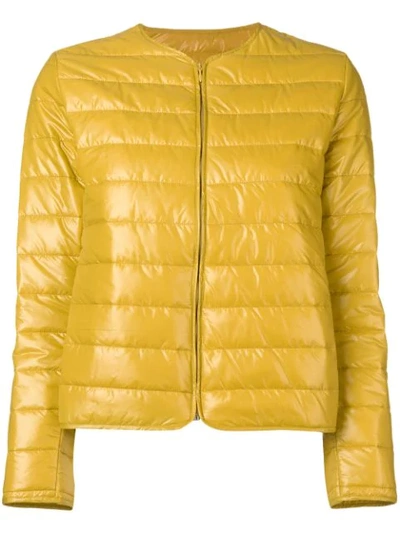 Alessandra Chamonix Coated Quilted Jacket In Yellow