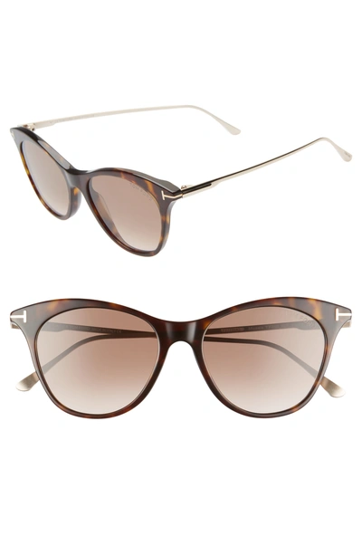 Tom Ford Micaela Transparent Acetate Round Gradient Sunglasses In Havana/ Rose Gold/ Pink Gold