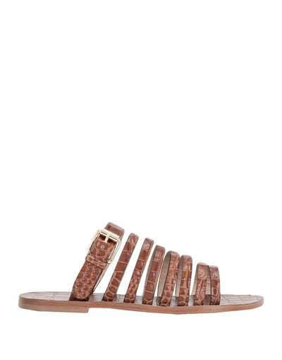 Deimille Sandals In Brown
