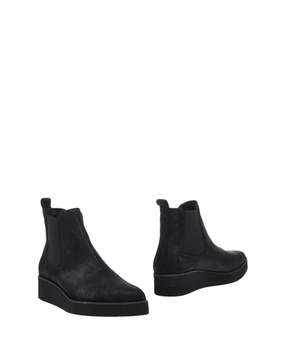 Jucca Ankle Boots In Black