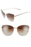 Salt Sherri Ann 60mm Polarized Cat Eye Sunglasses In Honey Gold/ Brown