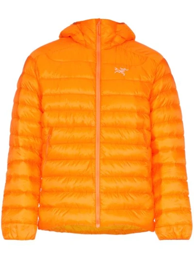 Arc'teryx Cerium Padded Jacket In Orange