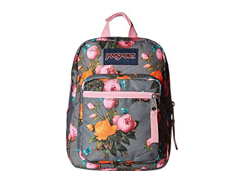 jansport big break